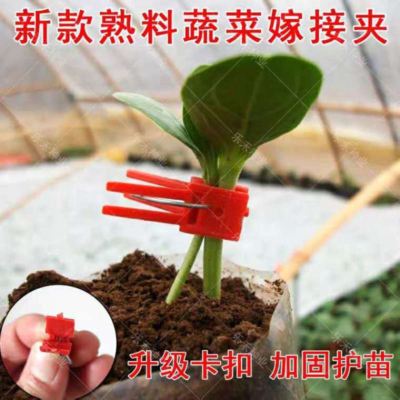 嫁接夹育苗嫁接夹瓜果蔬菜花卉苗木圆口平口夹嫁接小夹子嫁接