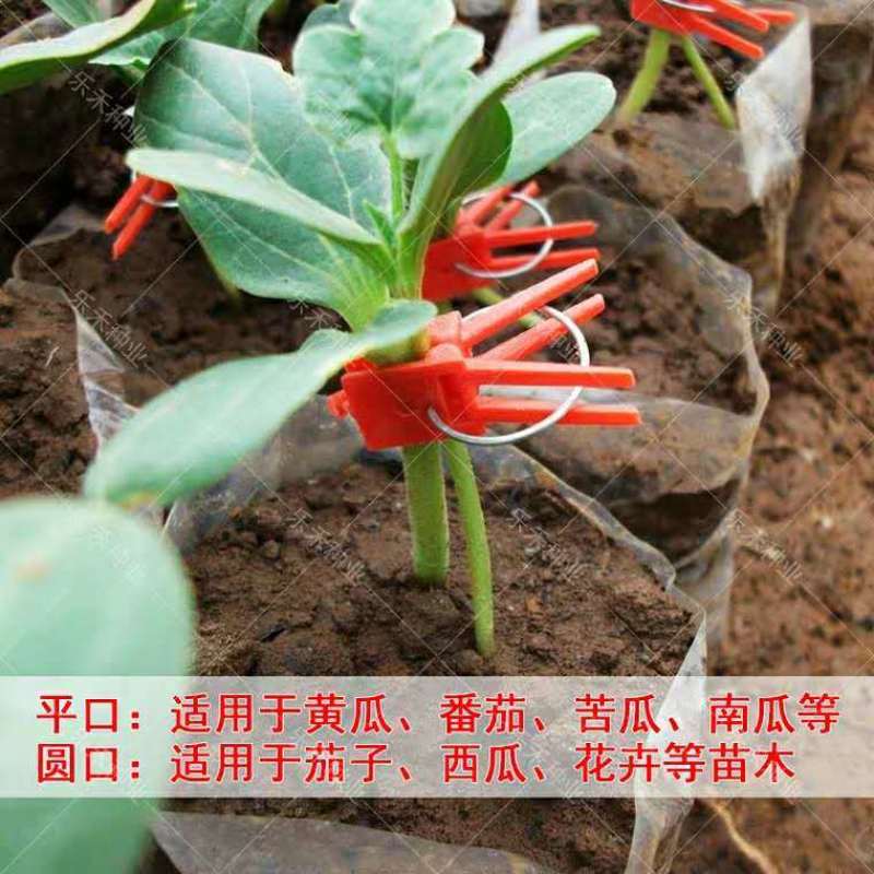 嫁接夹育苗嫁接夹瓜果蔬菜花卉苗木圆口平口夹嫁接小夹子嫁接