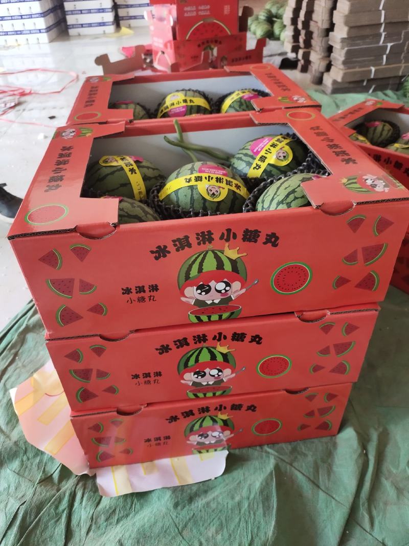 礼品小西瓜小糖丸小西瓜手撕小西瓜2K西瓜大量上市