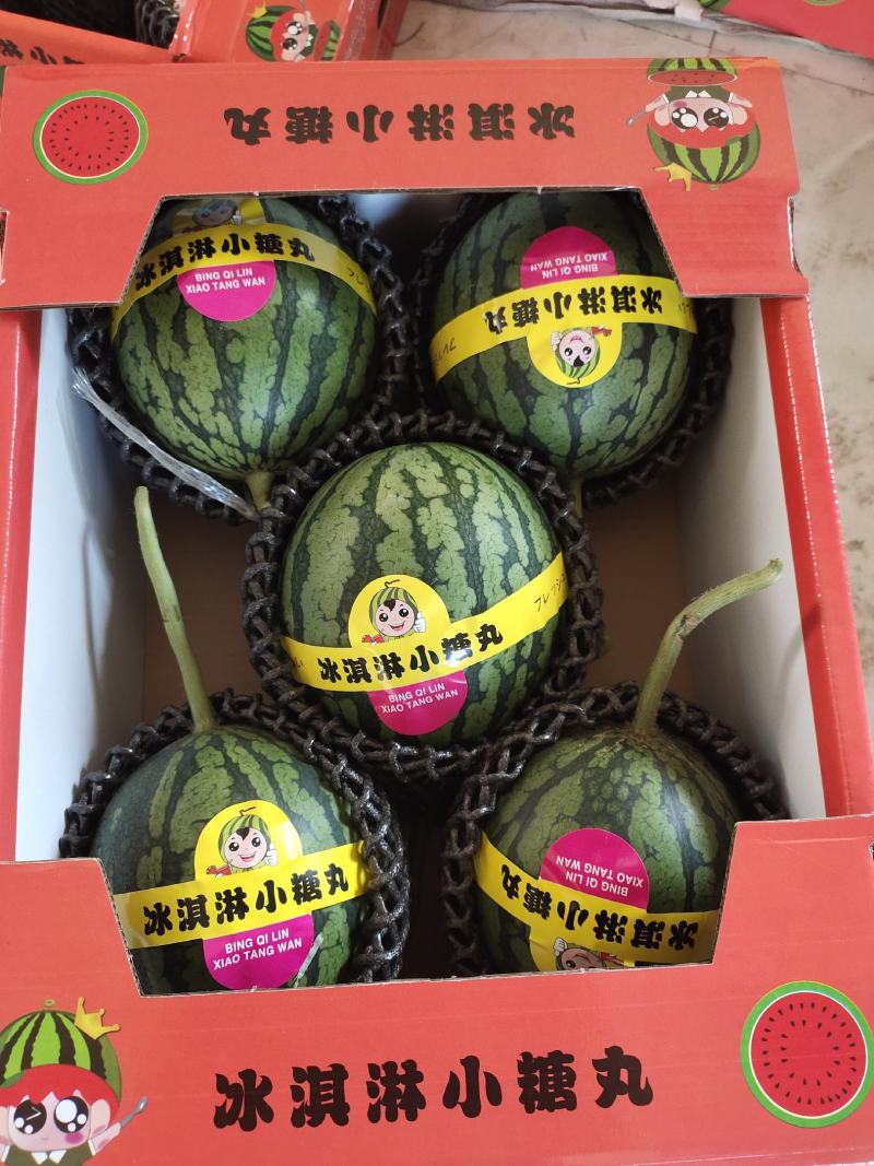 礼品小西瓜小糖丸小西瓜手撕小西瓜2K西瓜大量上市