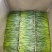 【绿茶】太平猴魁绿茶大叶茶厂家直销无中间商欢迎选购