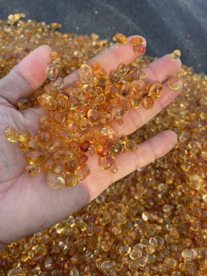 桃胶/精品纯黄大中小珍珠颗粒桃胶包邮一手货源