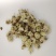 菊花，白菊花，药用菊花，产地河北无硫【贤帅药材批发商行】
