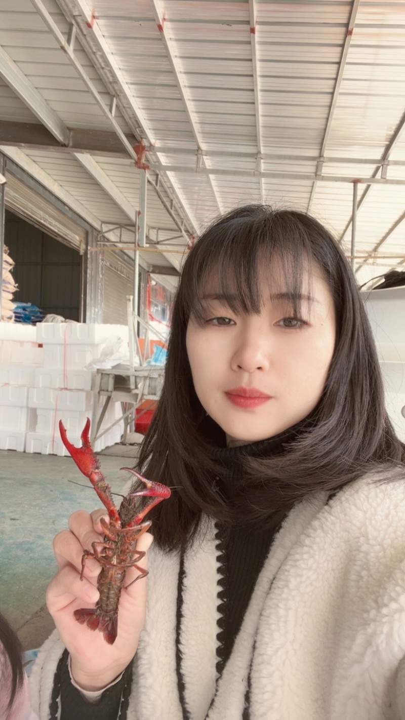 洪湖清水小龙虾底板干净肉质饱满一手货源产地直发