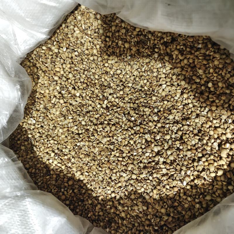 炙薏米，苡米炒薏米，大薏米，产地贵州，一手货源保质保量