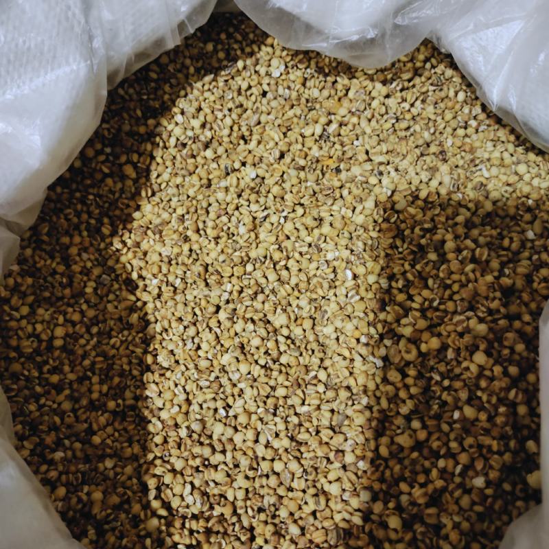 炙薏米，苡米炒薏米，大薏米，产地贵州，一手货源保质保量