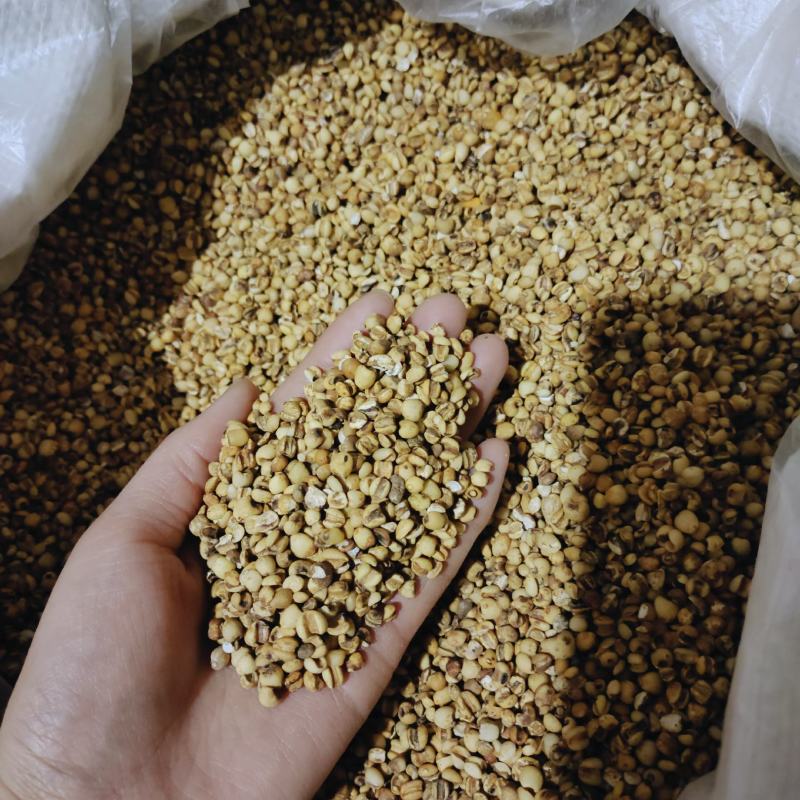 炙薏米，苡米炒薏米，大薏米，产地贵州，一手货源保质保量