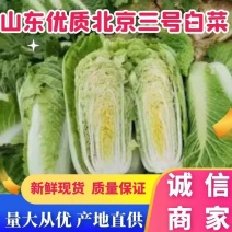 黄心秋宝，玲珑黄，黄金一号，北京3号，白菜大量上市