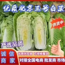 [实力]山东北京3号白菜，黄心白菜，可散装，袋装，需要