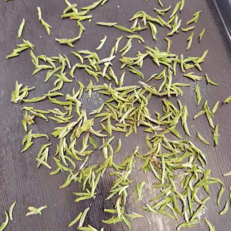 新茶明前头采霍山黄芽250g原生态茶厂直销