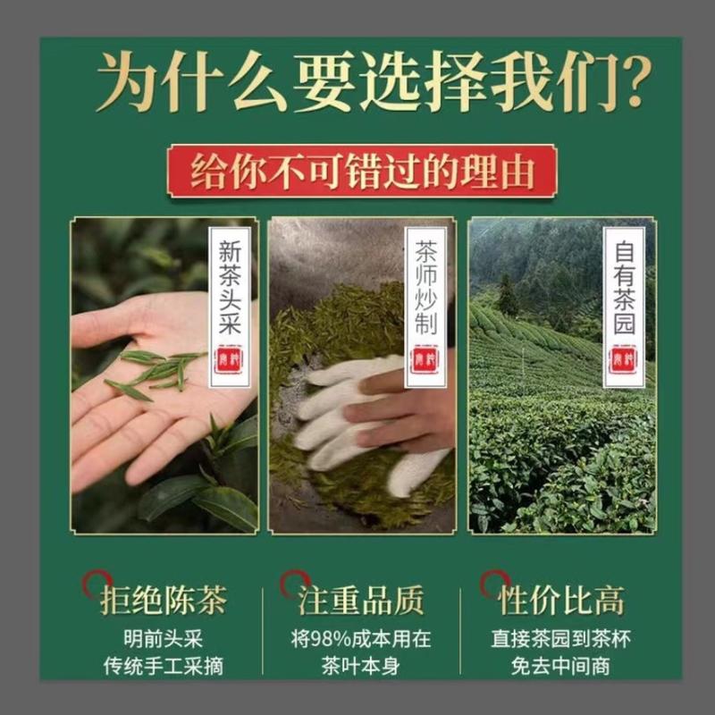 新茶明前头采霍山黄芽250g原生态茶厂直销