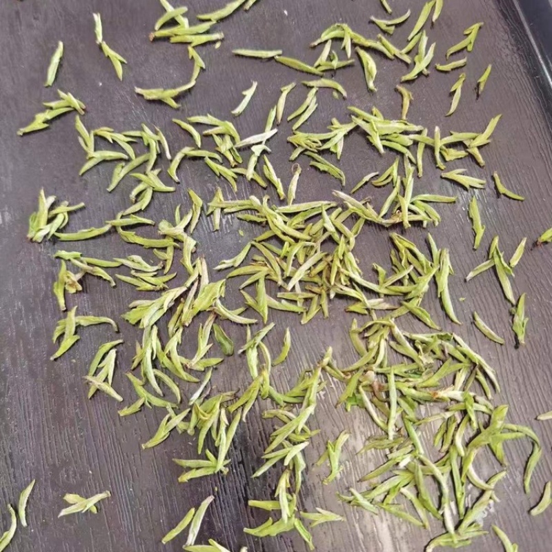 新茶明前头采霍山黄芽250g原生态茶厂直销