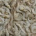 草虾羊毛虾，货源充足，体量大，质优价廉