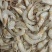 草虾羊毛虾，货源充足，体量大，质优价廉