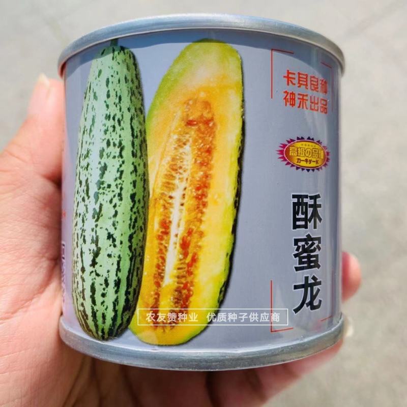牛角形酥瓜种子卡其酥蜜龙甜瓜种子香甜酥脆牛角甜瓜种籽