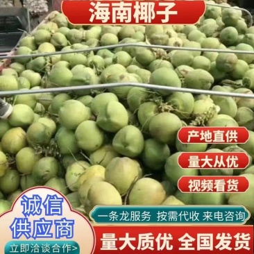 海南特产椰青，香甜汁多，可供应各大平台，产地直发，量大从