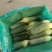 水果萝卜肥城大量供应，可以加工水洗，代存代销