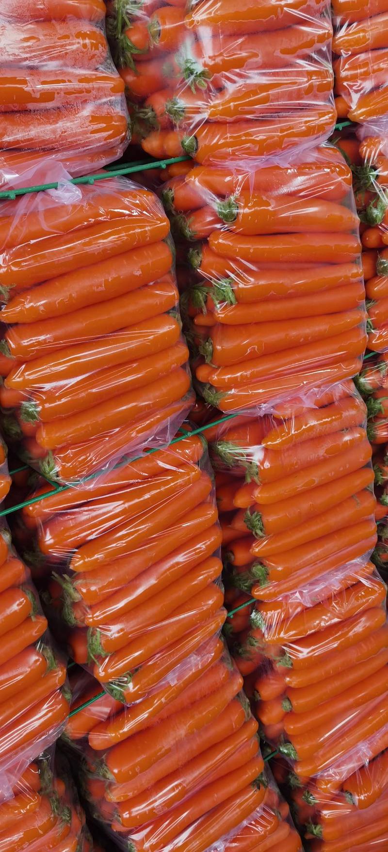 三红胡萝色泽红艳，坂王906专业加工土货带苗货北京包水洗