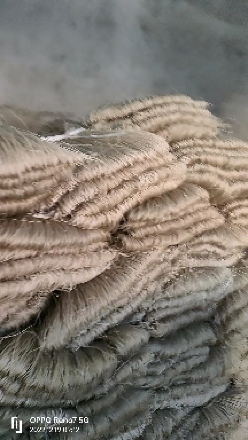 【粉条】红薯/山药粉条，品类多样，厂家直发质量保证，电联