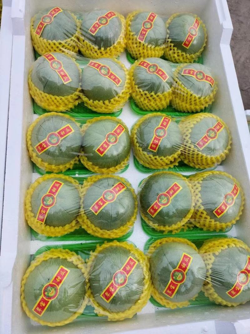 绿宝甜瓜