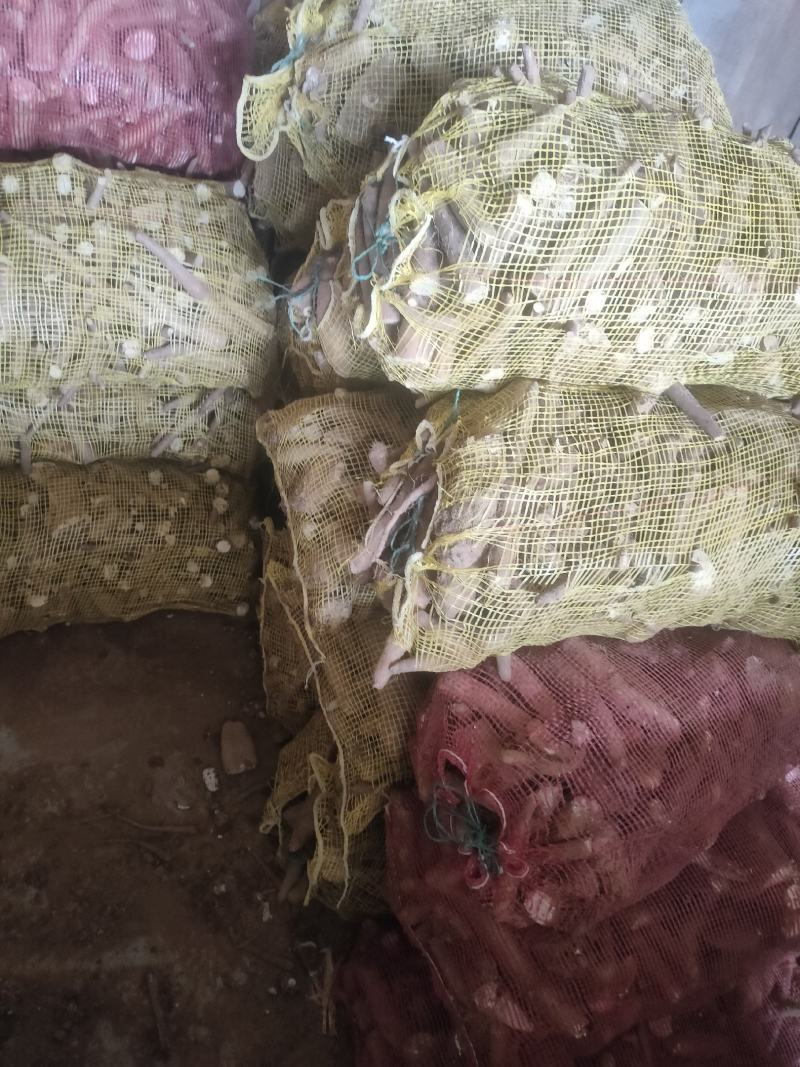 大量出售山药下脚料