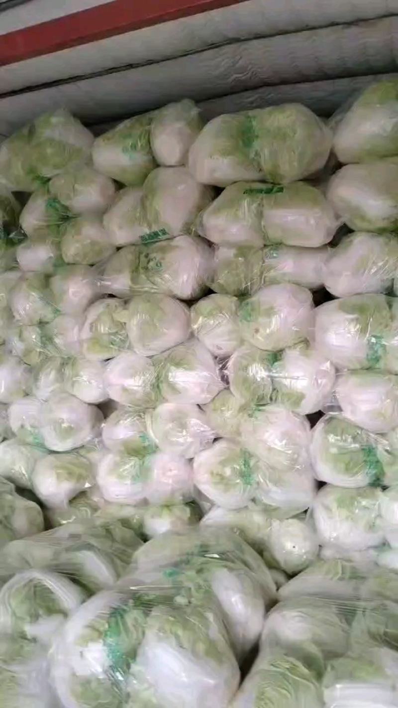 河南开封通许大白菜毛菜质量好价格不贵规格能挑不烧心无黑点干净