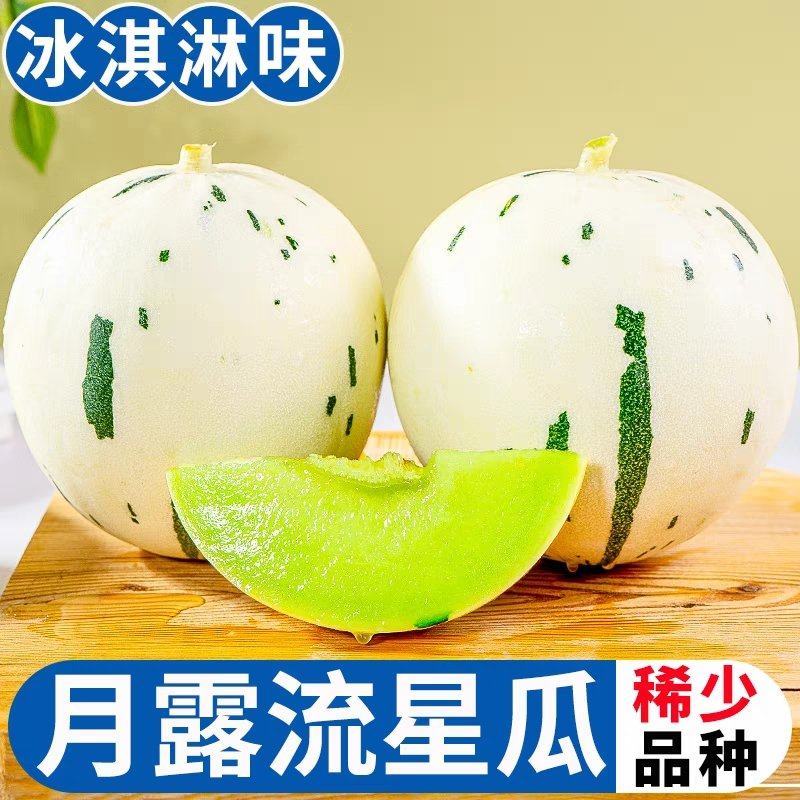 海南蜜瓜/月露流星蜜瓜/海南哈密瓜/哈密瓜全国发货