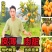 枇杷苗，大量出售大五星枇杷树2一8公分优质果苗