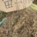 雷公根批发零售中药材一斤起发量大从优一件代发