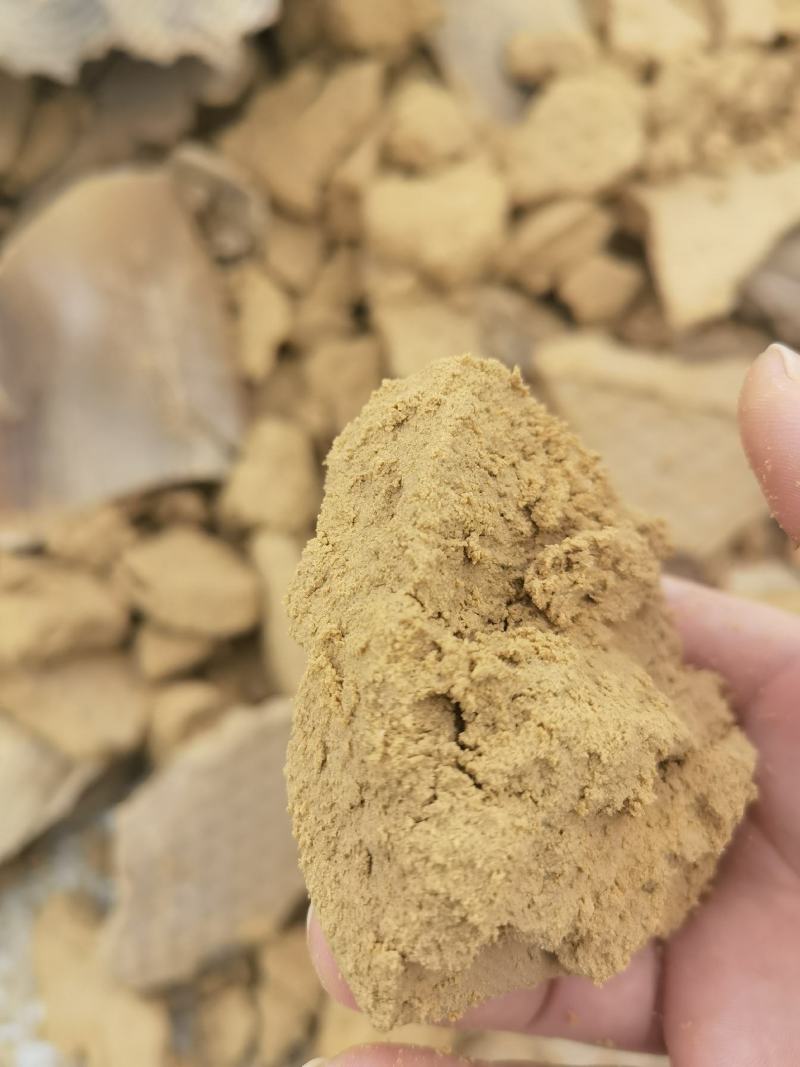 大米蛋白粉