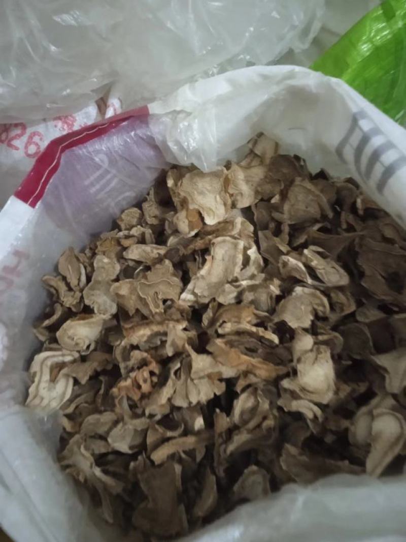 广西野生黄狗头干片