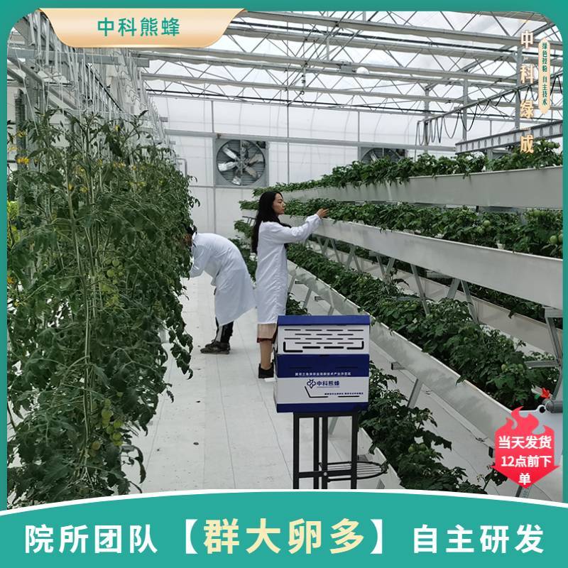 中科熊蜂通用授粉群带王优质授粉熊蜂【厂家直发】