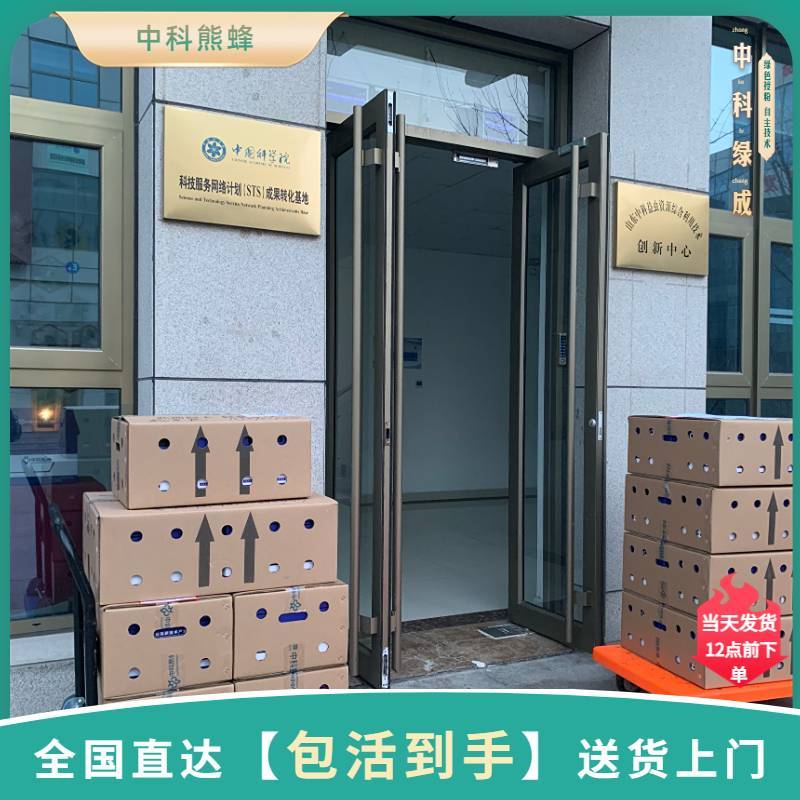 中科熊蜂通用授粉群带王优质授粉熊蜂【厂家直发】