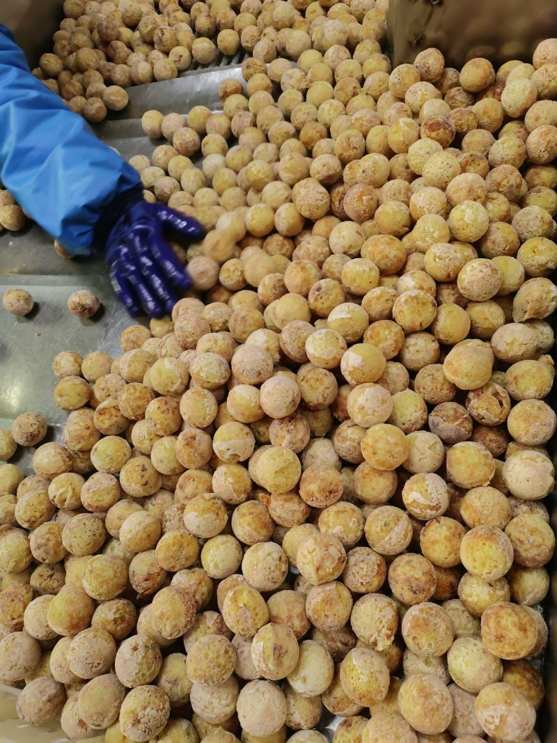 章鱼小丸子，厂家直销，全国发货欢迎咨询。