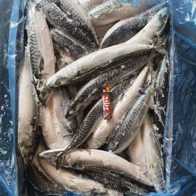 挪威清花鱼，4/6，3/5规格齐全，一手货源