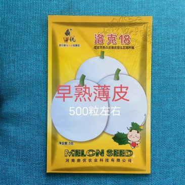 洛克18白皮白肉甜瓜种子早熟薄皮圆形抗病高糖春露地种植