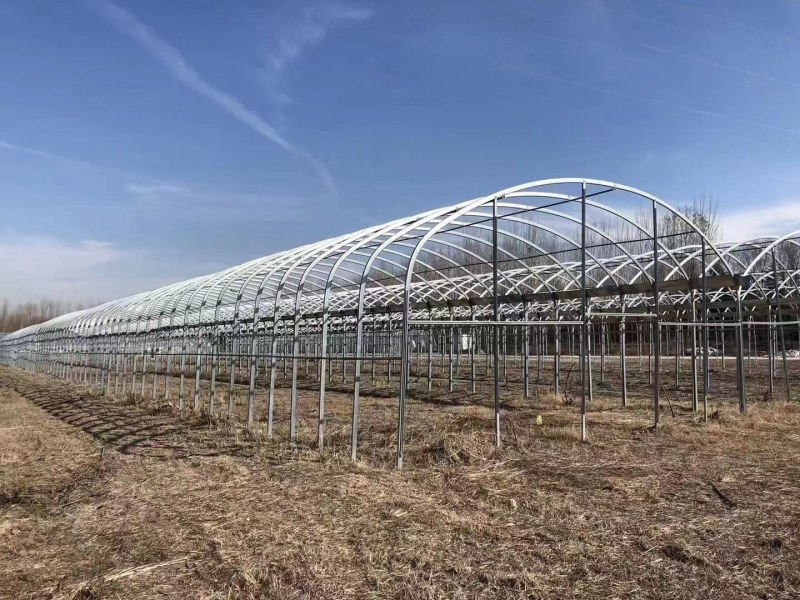 蔬菜大棚各种果蔬大棚厂家直发规格齐全
