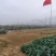 蔬菜大棚各种果蔬大棚厂家直发规格齐全