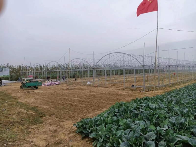蔬菜大棚各种果蔬大棚厂家直发规格齐全