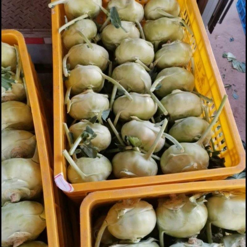 新苗，