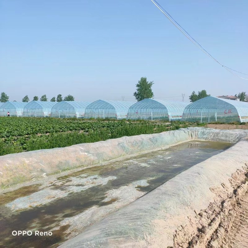 蔬菜大棚各种果蔬大棚厂家直发规格齐全