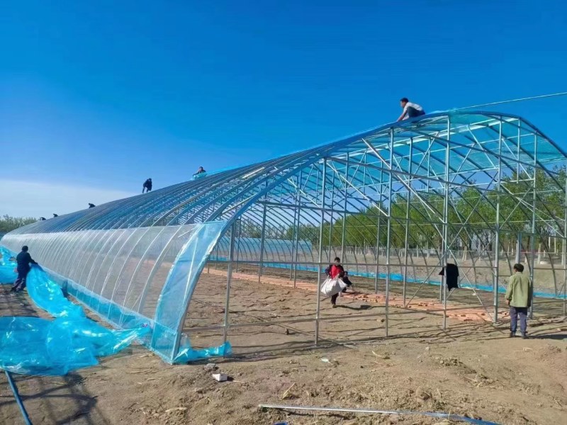 蔬菜大棚各种果蔬大棚厂家直发规格齐全