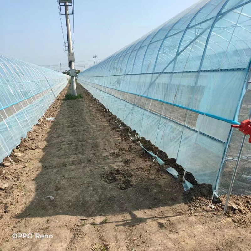 蔬菜大棚各种果蔬大棚厂家直发规格齐全