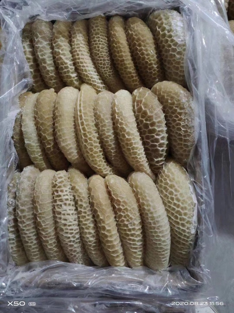 【批发-40斤金钱肚】40斤半成品六七分熟金钱肚牛肚