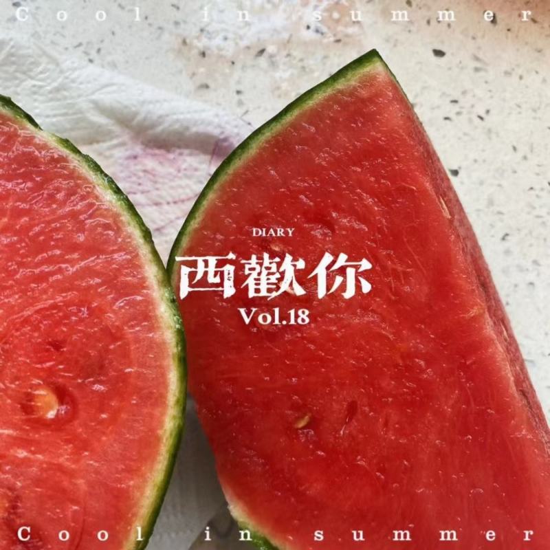 小西瓜苗2k红玉，冰糖王子，厂家直供保证质量数量保活