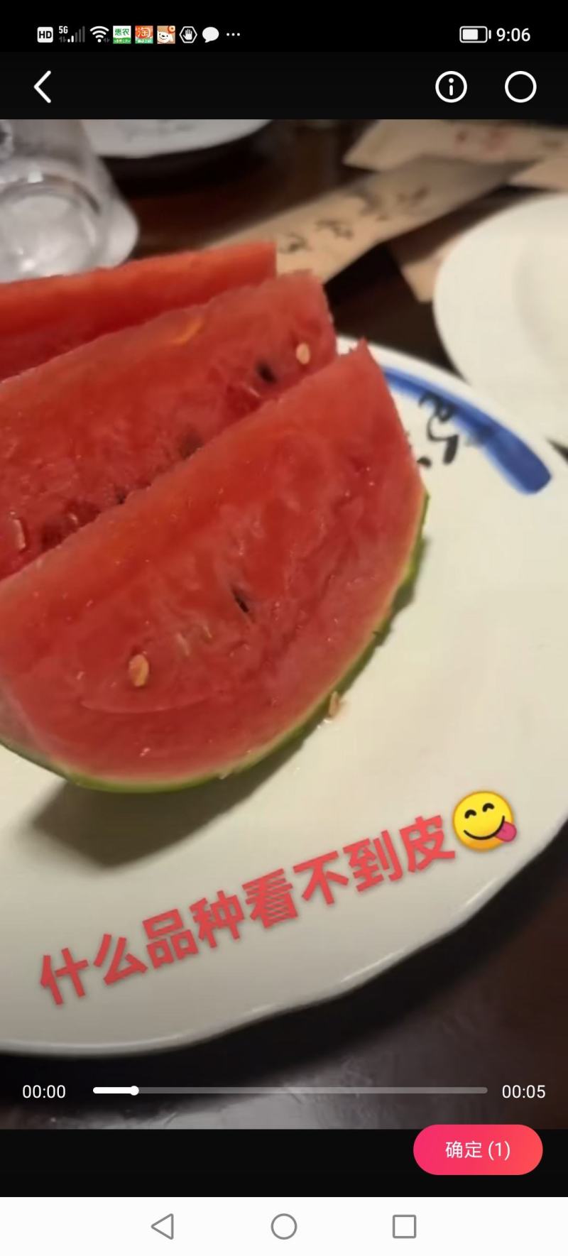小西瓜苗2k红玉，冰糖王子，厂家直供保证质量数量保活
