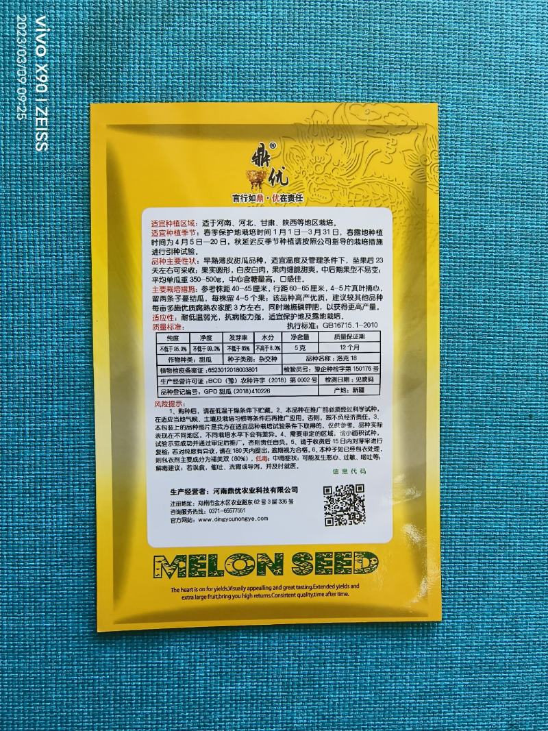 洛克18白皮白肉甜瓜种子早熟薄皮圆形抗病高糖春露地种植