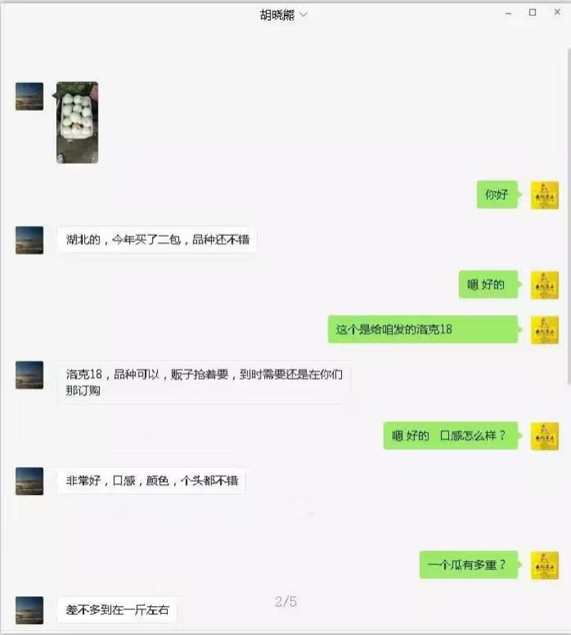 洛克18白皮白肉甜瓜种子早熟薄皮圆形抗病高糖春露地种植