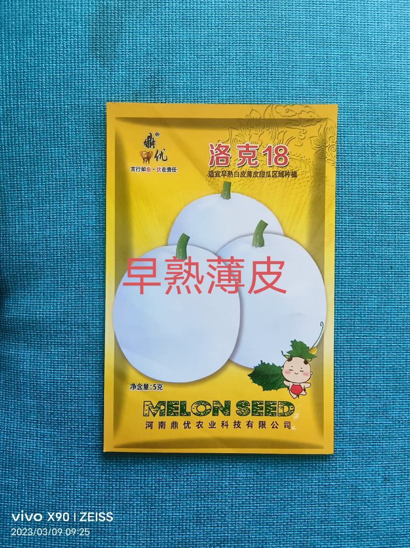 洛克18白皮白肉甜瓜种子早熟薄皮圆形抗病高糖春露地种植