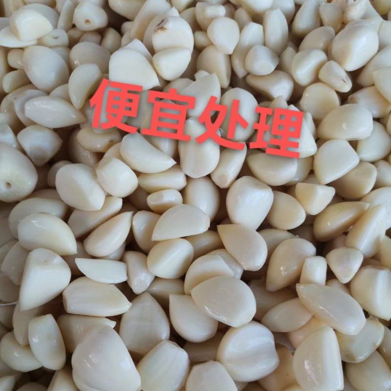 2026年新鲜蒜米蒜肉工厂做蒜泥蒜酱蒜蓉蒜添加